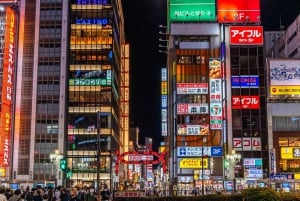 Tokyo Private Tour: Best Places with a Local