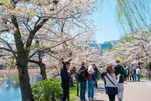 Tokyo Private Tour: Best Places with a Local