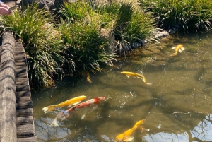 Tokio: privétour door de oostelijke tuinen van het keizerlijk paleis