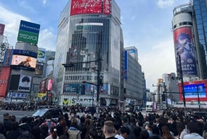 Tokyo: Privat tur i Tokyo