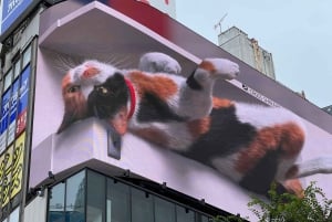 Tokyo: Privat tur i Tokyo