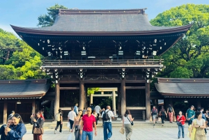 Tokyo : visite touristique privée avec chauffeur anglophone