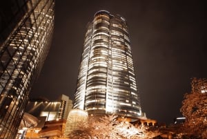 Tokyo: tour di teamLab, Azabudai Hills e National Art Center