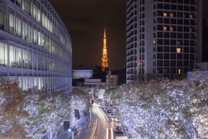 Tokyo: tour di teamLab, Azabudai Hills e National Art Center