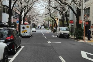 東京プライベートツアー