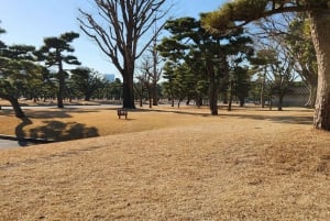 東京プライベートツアー