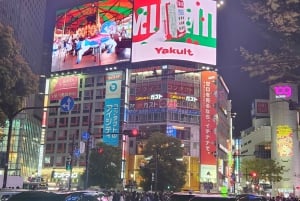 東京プライベートツアー