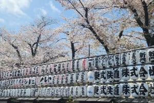 東京プライベートツアー