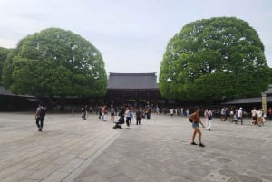 東京プライベートツアー