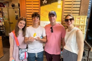 Tokio: Imperialer Palast und Shogun Walking Tour