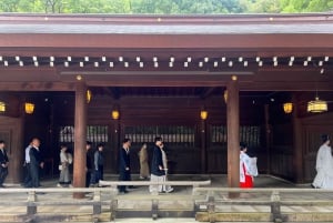 Tokio: Imperialer Palast und Shogun Walking Tour