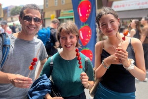 Tokio: Imperialer Palast und Shogun Walking Tour