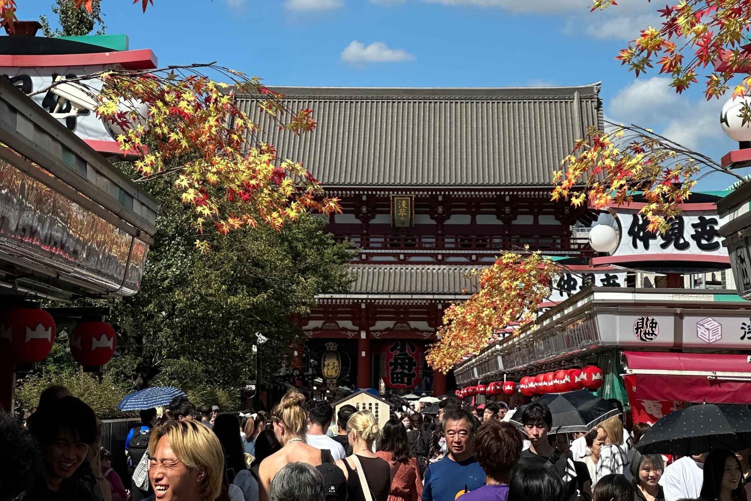 Tokyo Private Tour with Skytree & Kitchen tool Shopping
