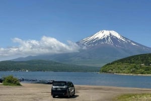 Tokio: Traslado privado desde/hasta el aeropuerto de Narita