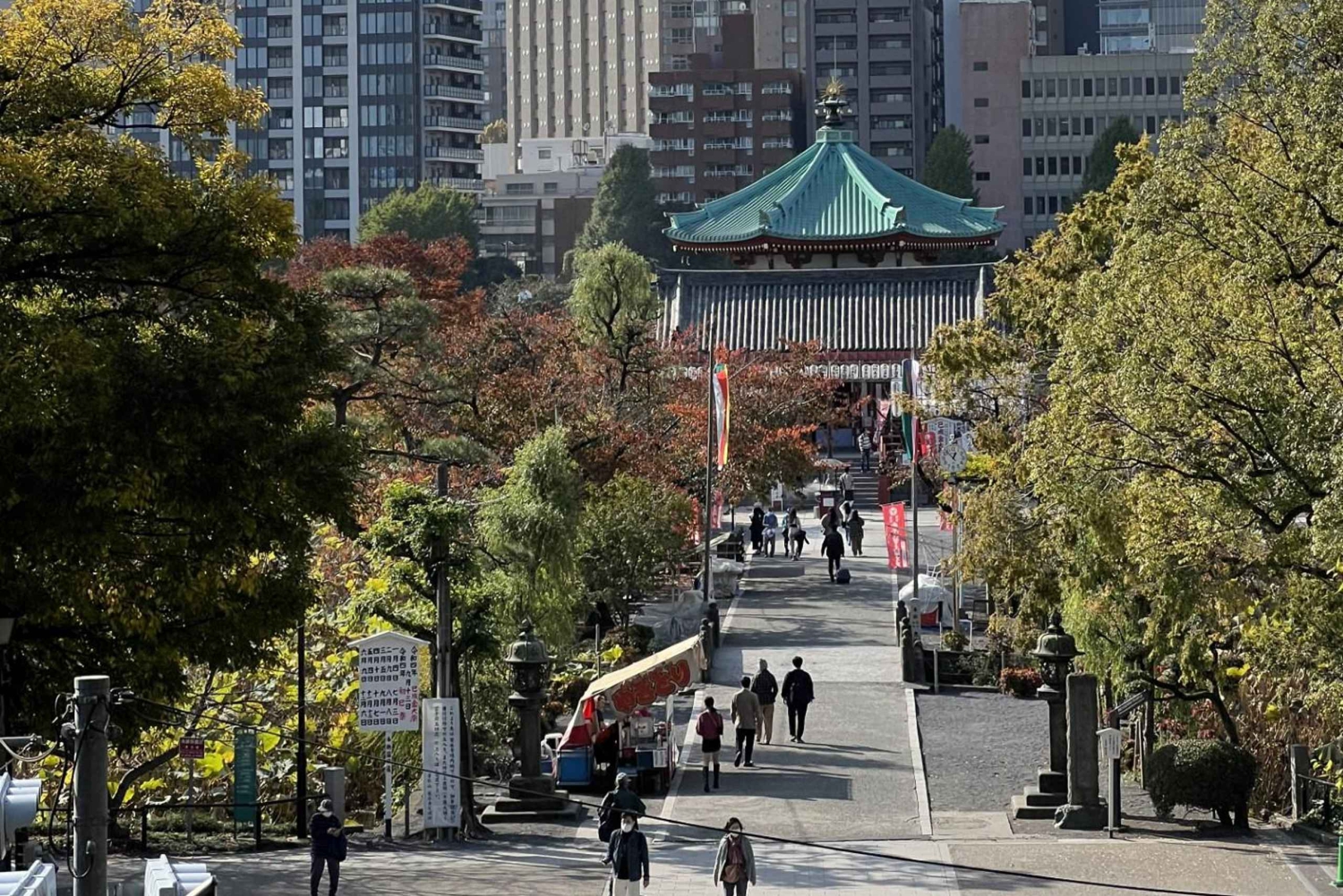 TOKIO Visita privada Guía de habla francesa