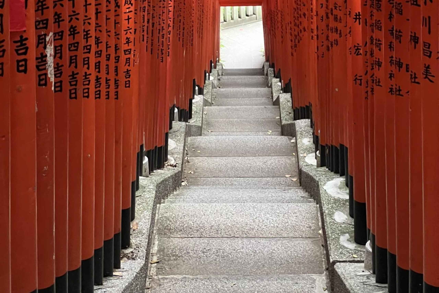 TOKIO Visita privada Guía de habla francesa