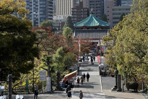 TOKIO Visita privada Guía de habla francesa