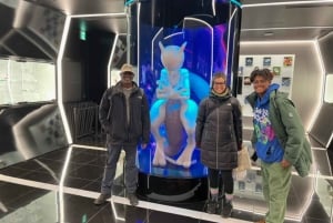 Tokyo 6-timers privat guidet tur og samuraisverdopplevelse