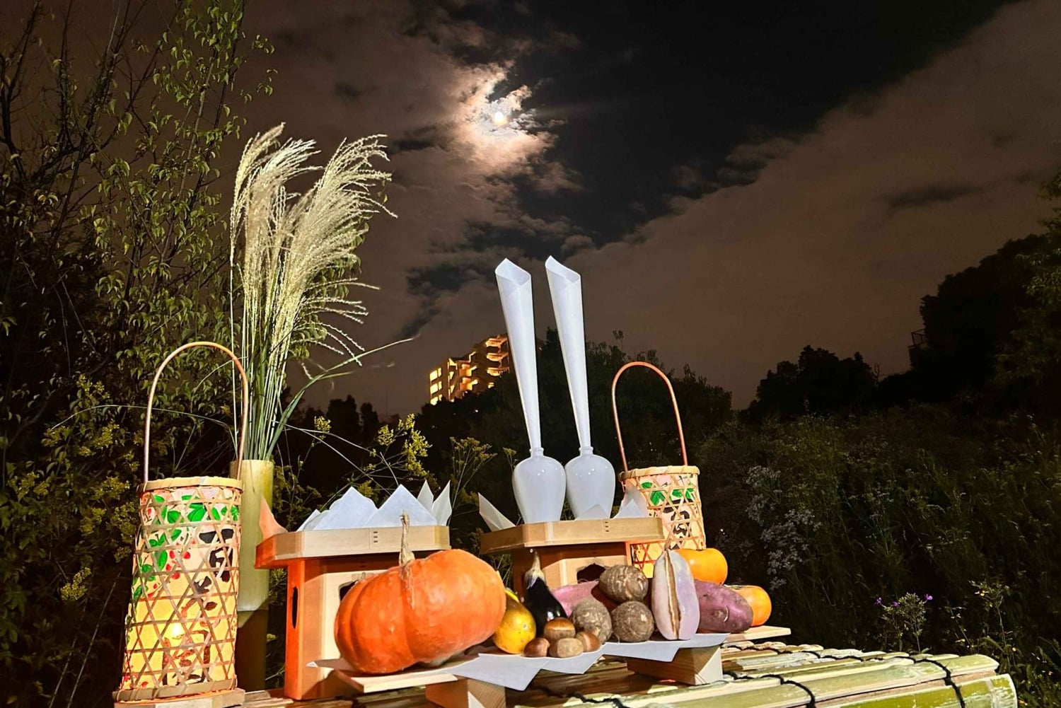 TOKYO: Pro Gardener Guides Gardens per e-bike - NACHT