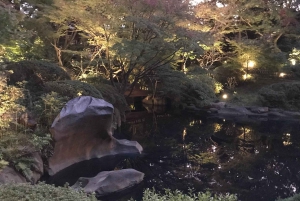 TOKYO: Pro Gardener Guides Gardens per e-bike - NACHT