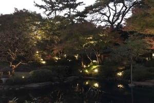 TOKYO: Pro Gardener Guides Gardens per e-bike - NACHT