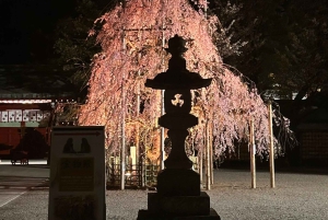 TOKYO: Pro Gardener Guides Gardens per e-bike - NACHT