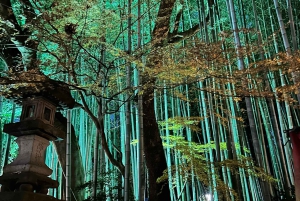 TOKYO: Pro Gardener Guides Gardens per e-bike - NACHT