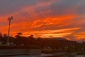 TOKYO: Pro Gardener Guides Gardens per e-bike - NACHT