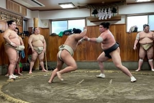 Sumo-ochtendtraining in Tokio / Sumo-training met worstelaars