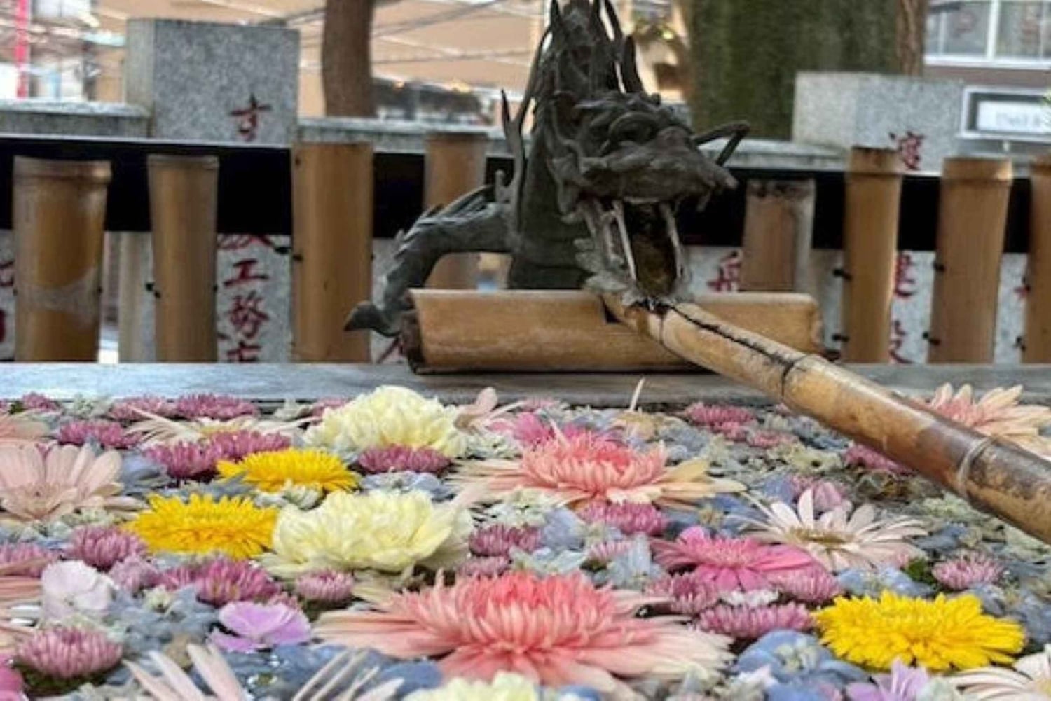 Vibes retro de Tóquio e tour por izakayas em Koenji