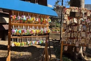 Vibes retro de Tóquio e tour por izakayas em Koenji