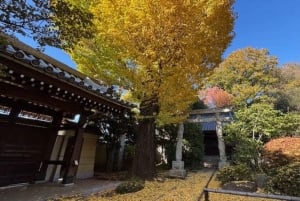 Vibes retro de Tóquio e tour por izakayas em Koenji