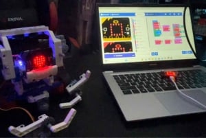 Tokyo: Robot Piloting Attraction Ticket