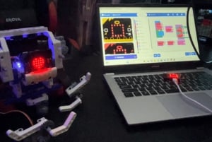 Tokyo: Robot Piloting Attraction Ticket