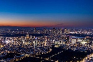 Tokyo: Biglietto per l'Osservatorio di Roppongi Hills