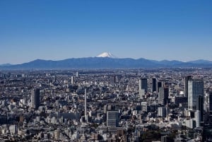 Tokyo: Biglietto per l'Osservatorio di Roppongi Hills