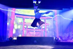 Tokyo: Samurai Entertainment Night