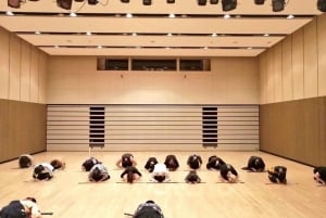 Samurai-Erlebnis in Tokio: Echtes Schwert, optional