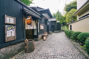 Tokio: Experiencia Samurai con almuerzo y tour guiado