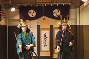 Tokio: Experiencia Samurai con almuerzo y tour guiado