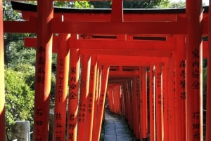 Tokyo : visite à pied sur l'histoire des samouraïs avec un auteur de livres sur les samouraïs