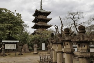 Tokyo : visite à pied sur l'histoire des samouraïs avec un auteur de livres sur les samouraïs