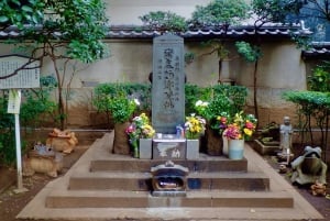 Tokyo : visite à pied sur l'histoire des samouraïs avec un auteur de livres sur les samouraïs
