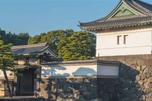 Tokio: tour a pie por la historia de los samuráis