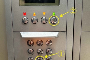 Tóquio: Tratamento do couro cabeludo num Head Spa