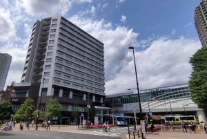 Tokyo: Shakujii Park Tour with Udon Lunch