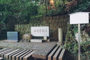 Tokyo: Shakujii Park Tour with Udon Lunch