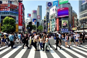 Tokio: Shibuya ja Shinjuku -yökävelykierros
