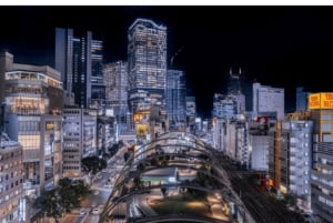 Tokio: Shibuya ja Shinjuku -yökävelykierros