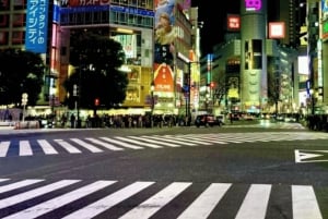 Tokio: Shibuya ja Shinjuku -yökävelykierros